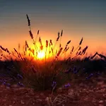 아파트 Chez Christophe 발랑솔